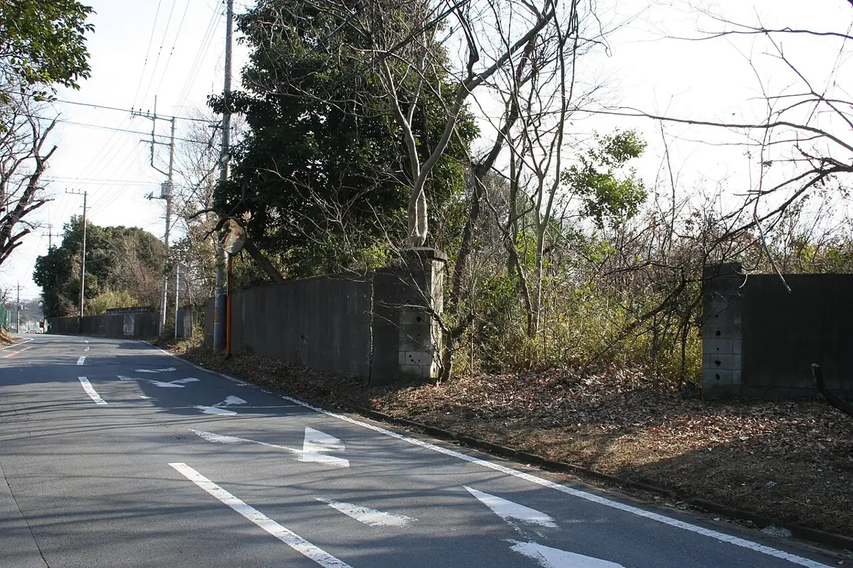 道路沿いの空き地